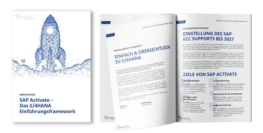 Mockup Whitepaper SAP Activate 1