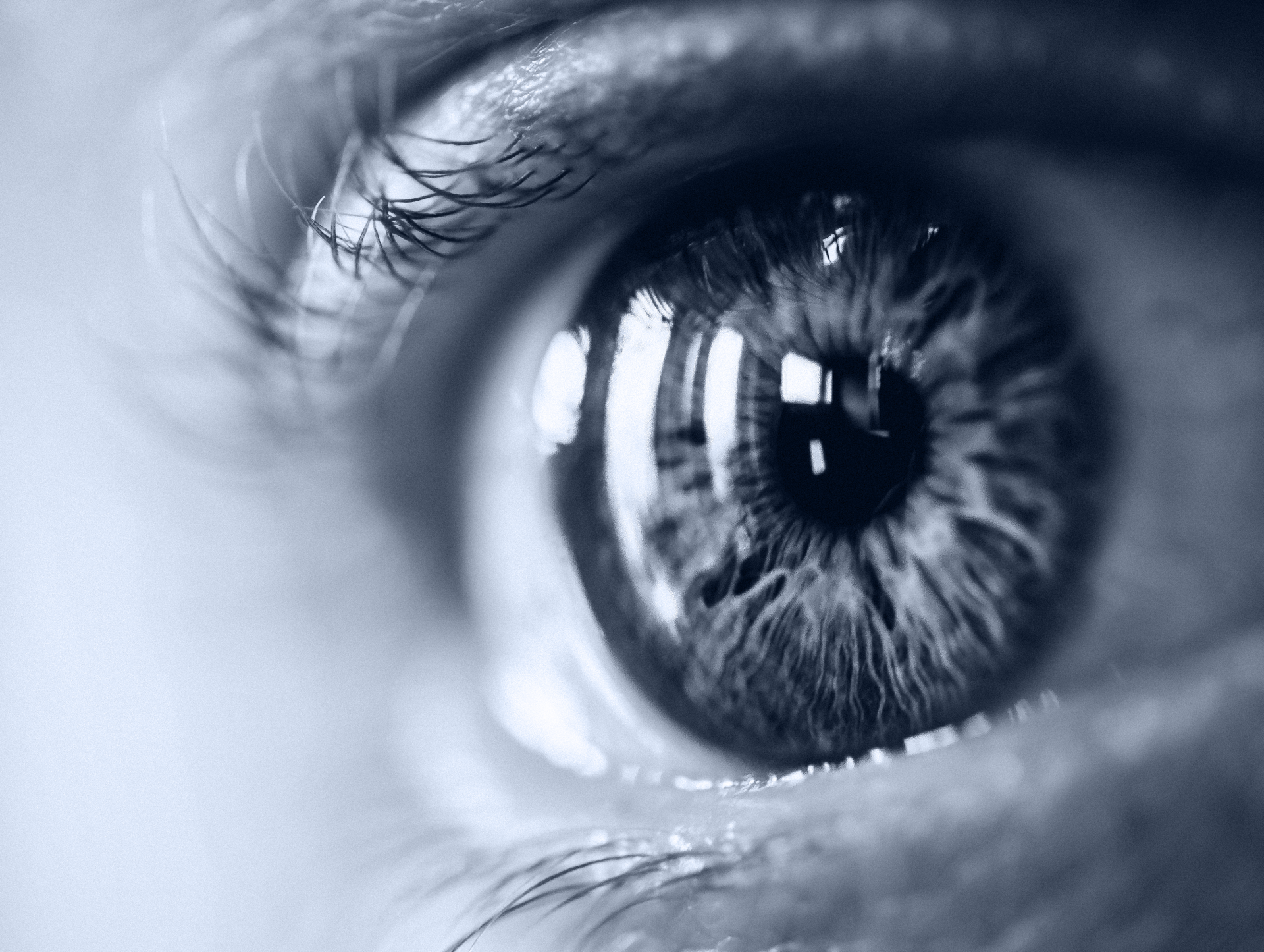 vision ososoft